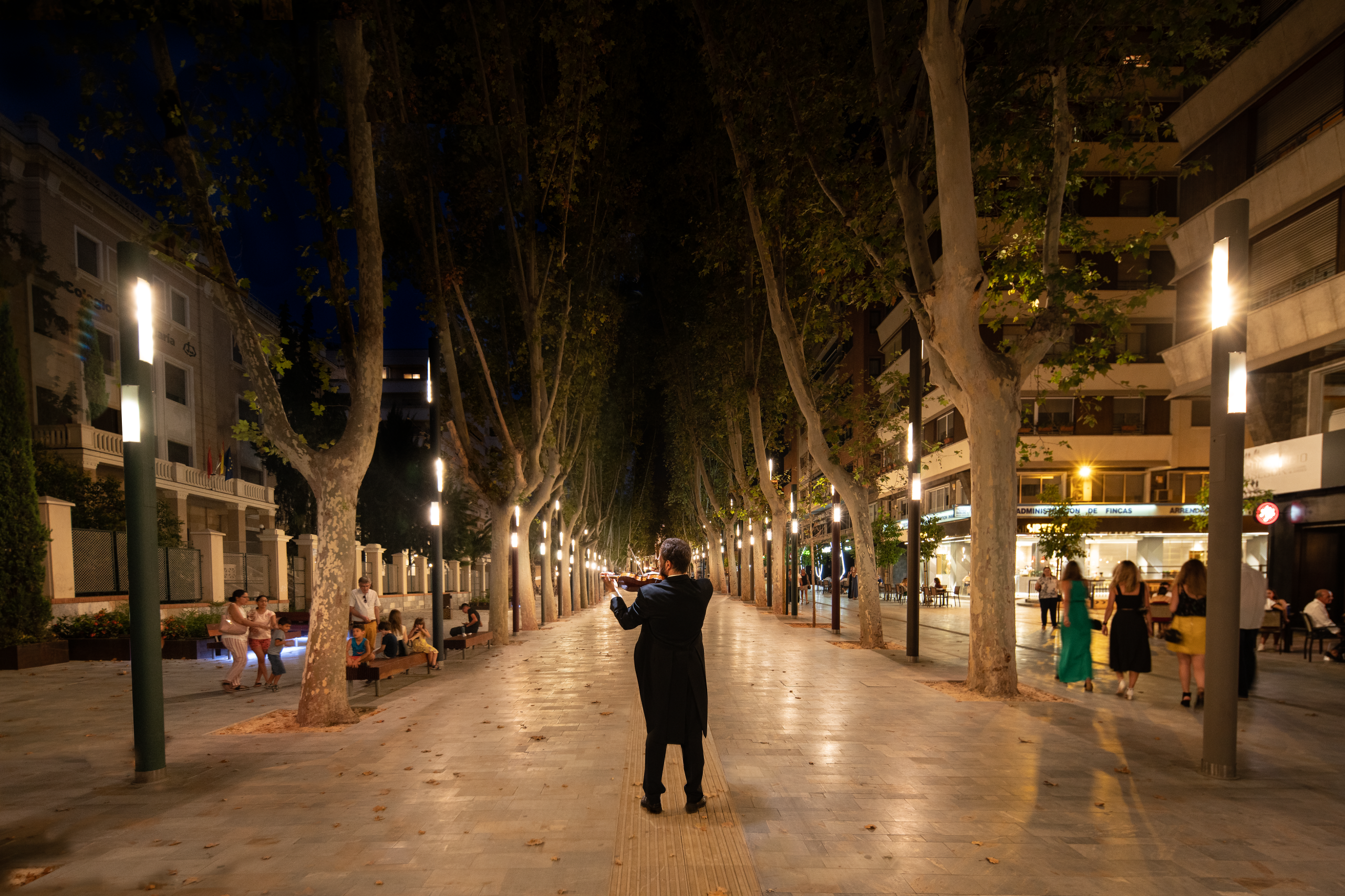 Músico tocando en un paseo arbolado iluminado de noche